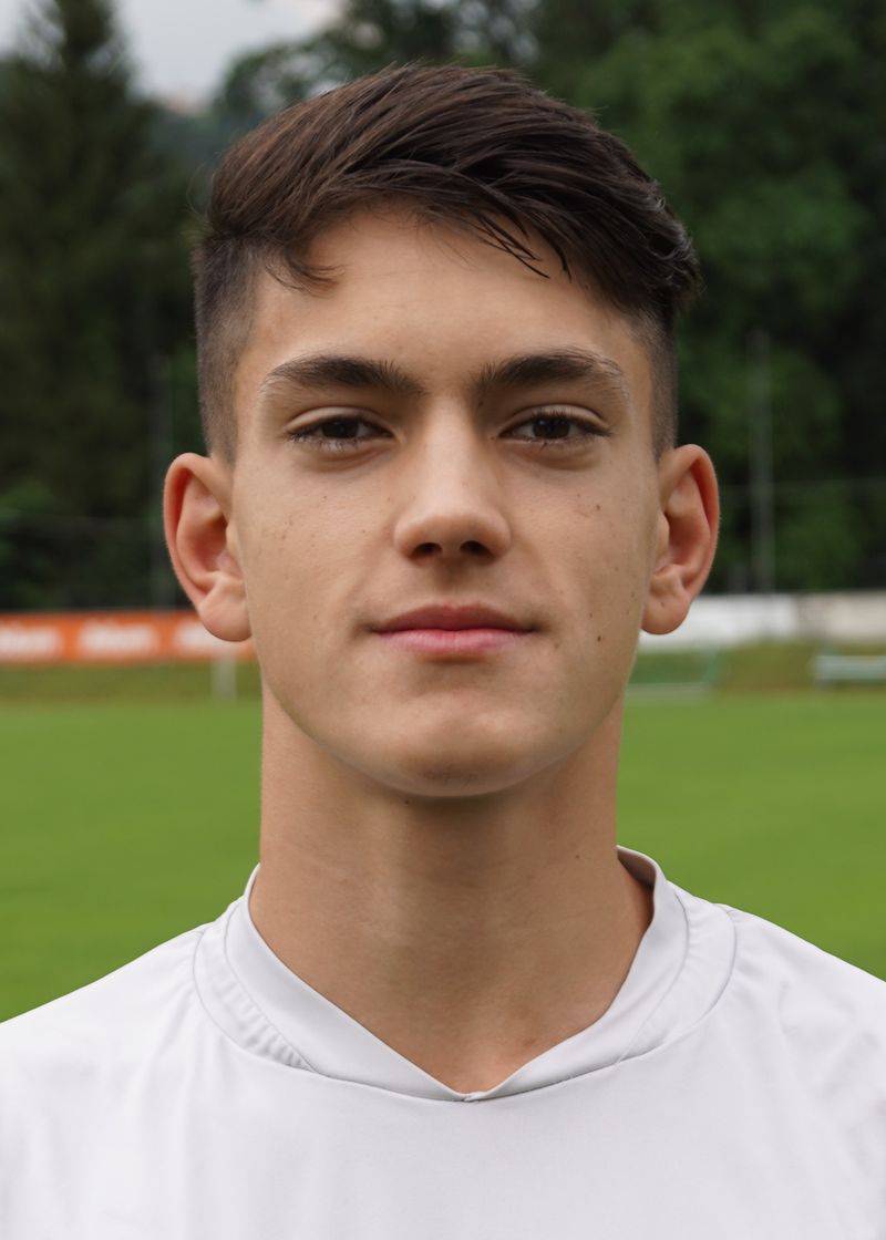 Spielerportrait Andrej Petrovic